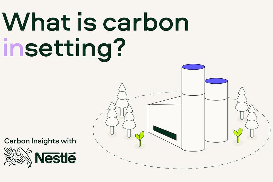 The Difference Between Insetting And Offsetting Green Carbon Industries